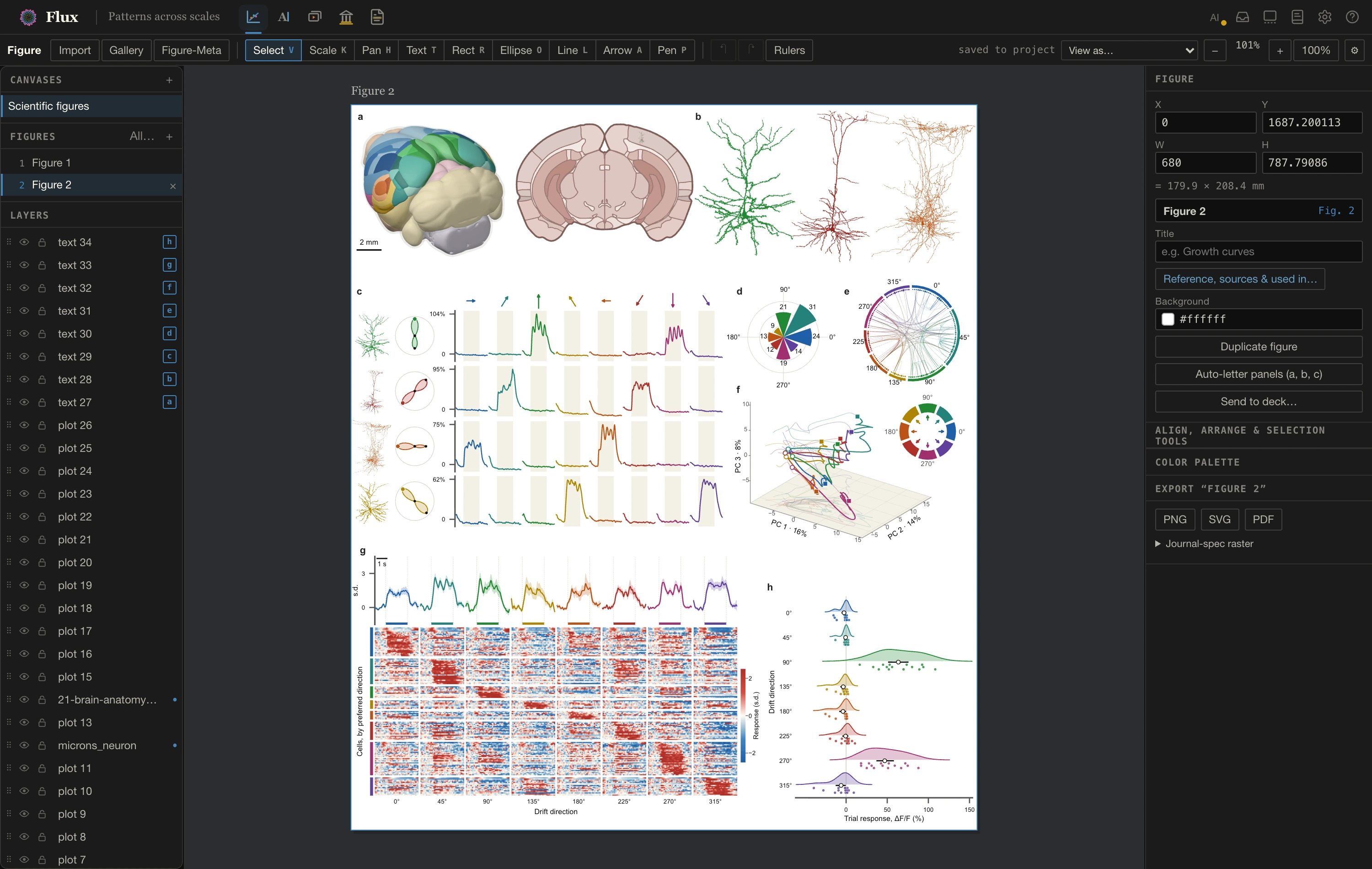 A neuroscience figure in Flux